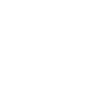 Inspire Create Elevate